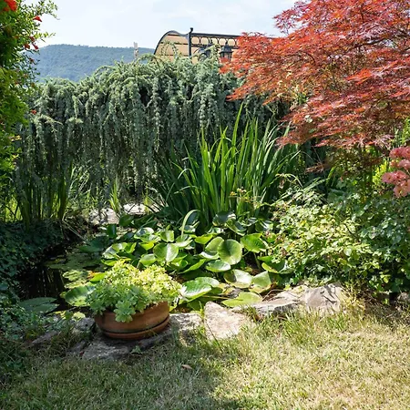 Villa Mia Con E Piscina *